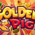 Info Slot Golden Pig