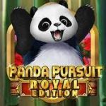 Panda Pursuit